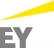 EY_nové logo.jpg