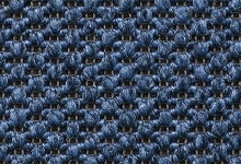 CarpetC_Eco_07_orez.jpg