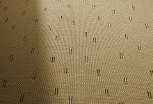 CarpetC_Ply_02_orez.jpg