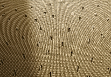 CarpetC_Ply_02_orez.jpg